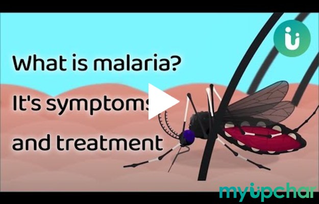What is malaria? - 2D Animation